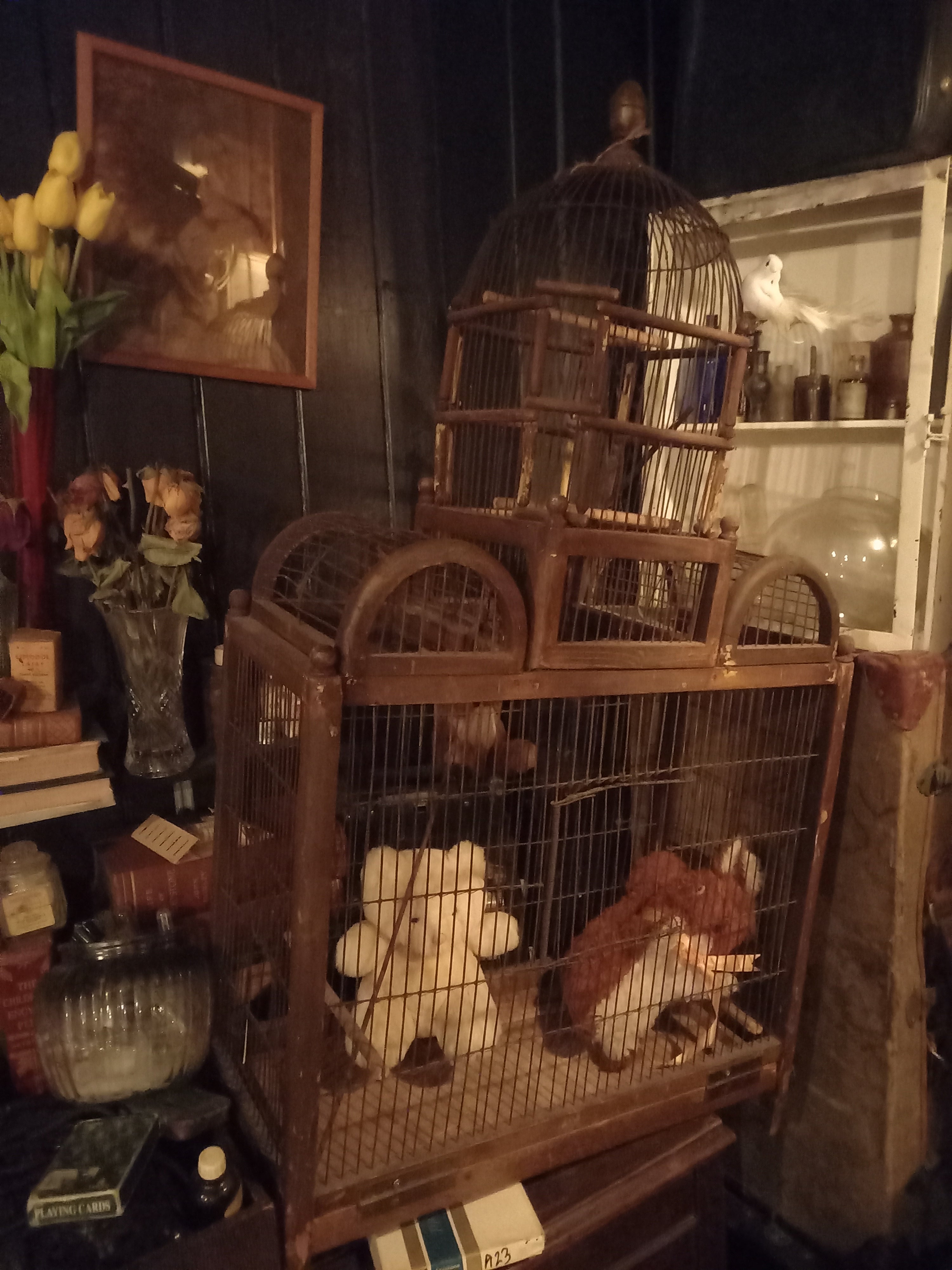 Victorian Rustic Birdcage