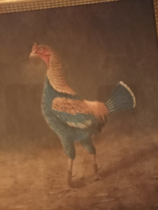 A Painting of 'A Suffolk Champion Game Cock' - Henry Darkin